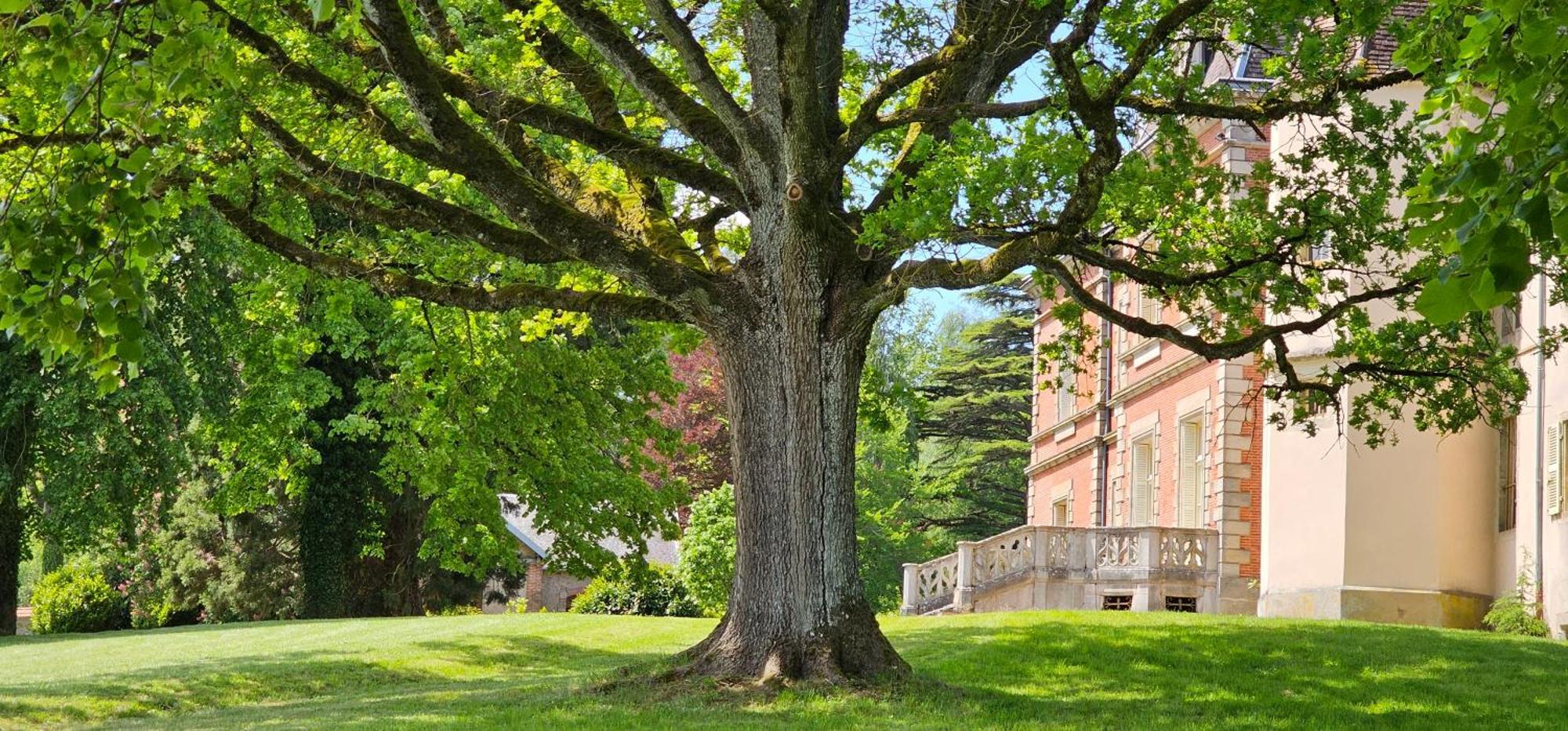 Chateau De Montpatey Bed & Breakfast Couches Exterior photo